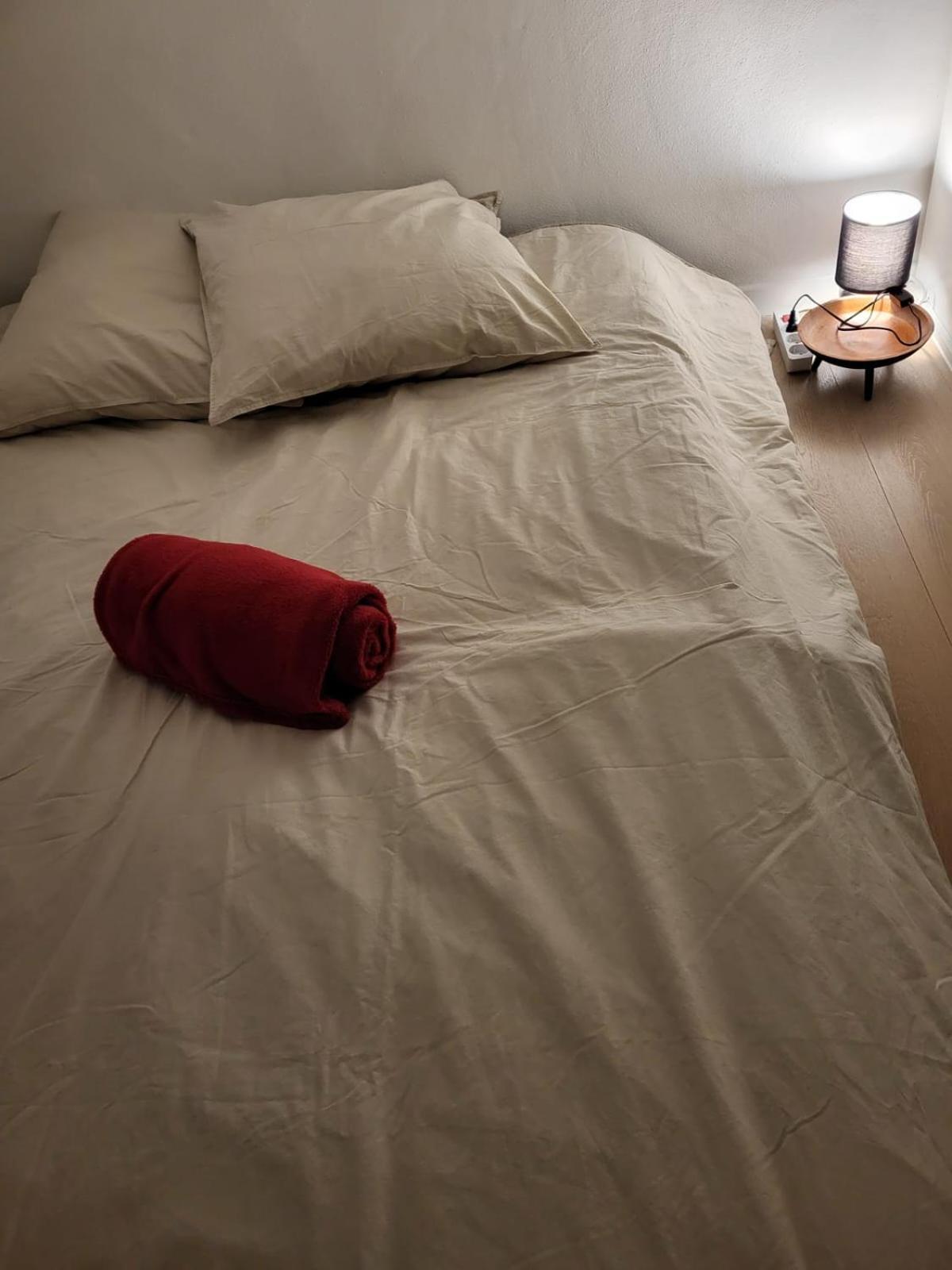 Appartement Duplex Centre Station 5 Personnes Arâches 外观 照片